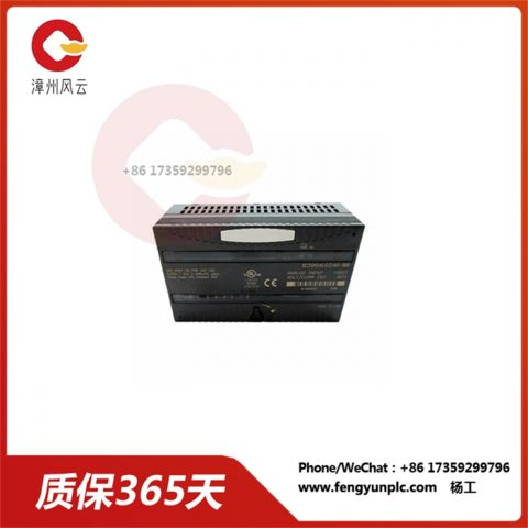 IC200ALG240